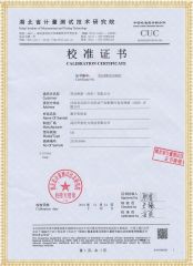 GM 系列可調高壓數字兆歐表檢定證書